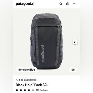 NWT Patagonia Black Hole® Pack 32L